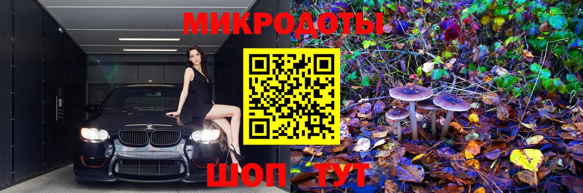 Галлюциногенные грибы GOLDEN TEACHER  Волоколамск  Галлюциногенные грибы MAGIC MUSHROOMS 