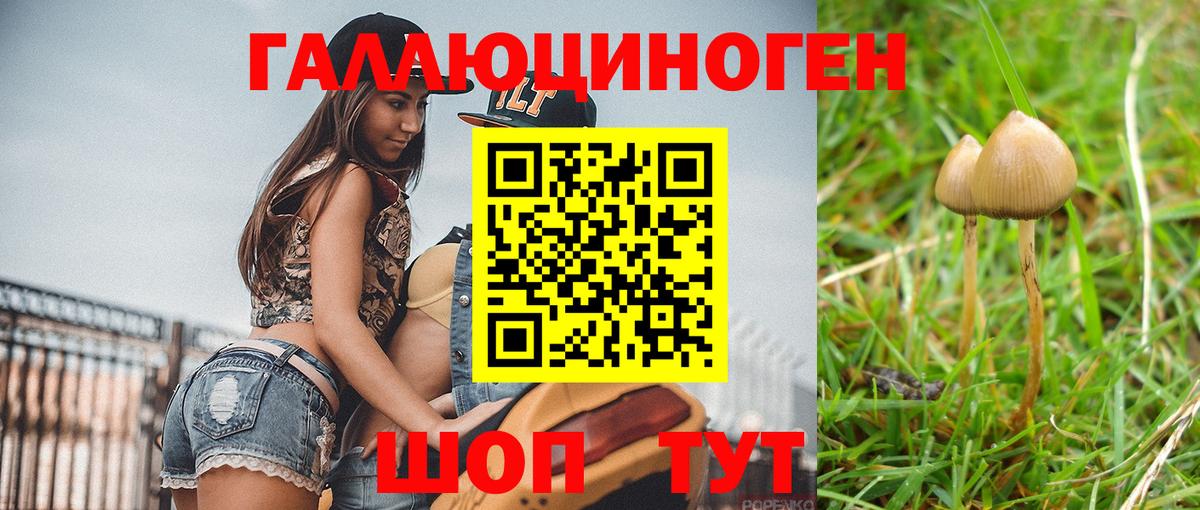 Псилоцибиновые грибы Psilocybe Волоколамск